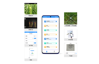 津南区小麦表型检测仪IN-XM04